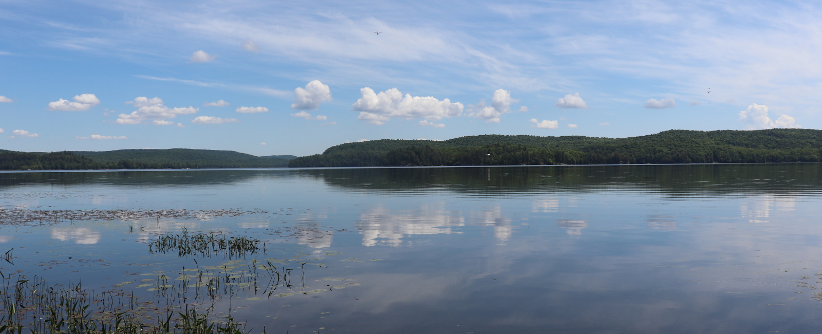 Elephant Lake water access.